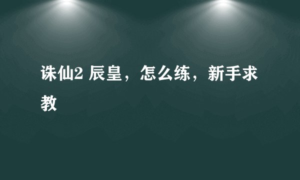 诛仙2 辰皇,怎么练,新手求教