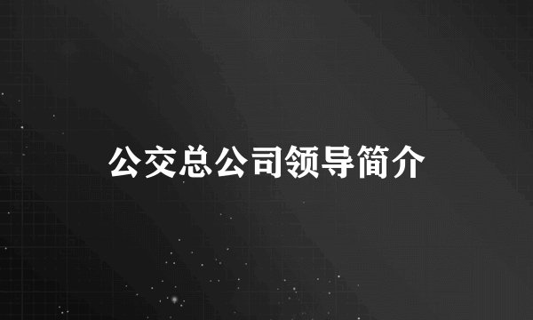 公交总公司领导简介