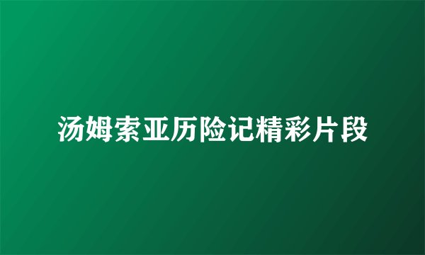 汤姆索亚历险记精彩片段