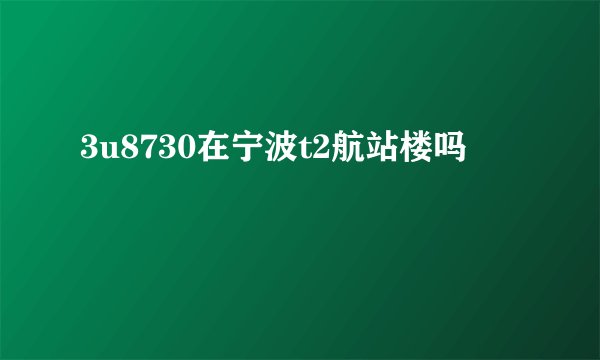 3u8730在宁波t2航站楼吗