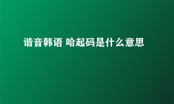 谐音韩语 哈起码是什么意思