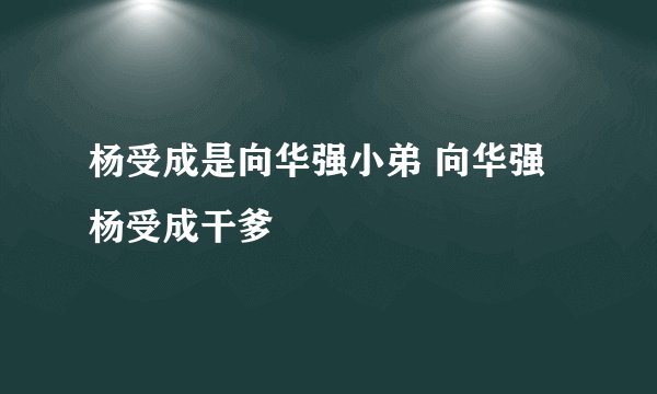杨受成是向华强小弟 向华强杨受成干爹