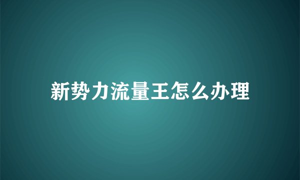 新势力流量王怎么办理