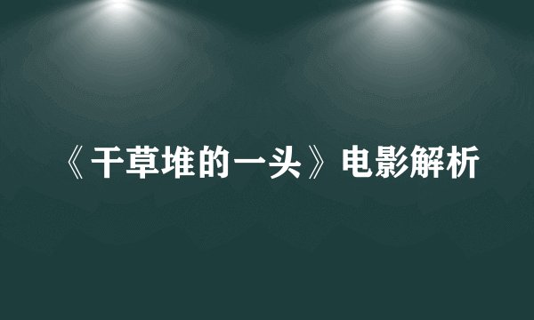 《干草堆的一头》电影解析