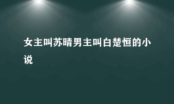 女主叫苏晴男主叫白楚恒的小说
