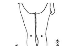 【张雪亮教授谈养肾】系列之十一“为何青壮年也常腰酸、腿软”