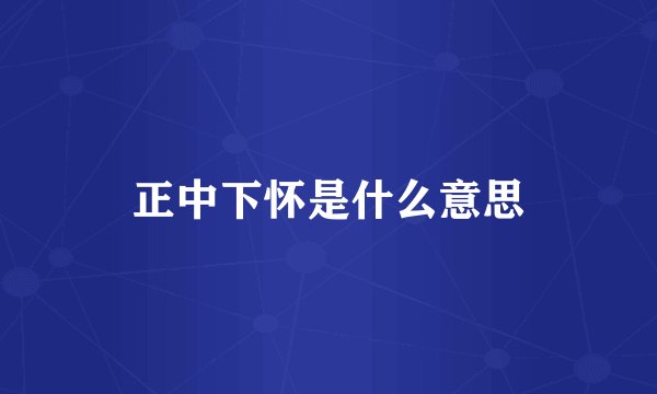 正中下怀是什么意思