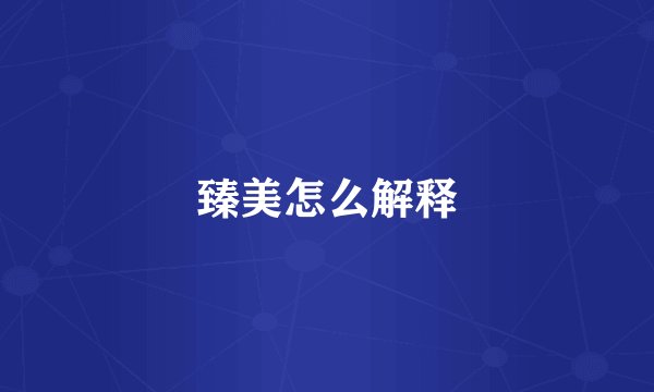 臻美怎么解释