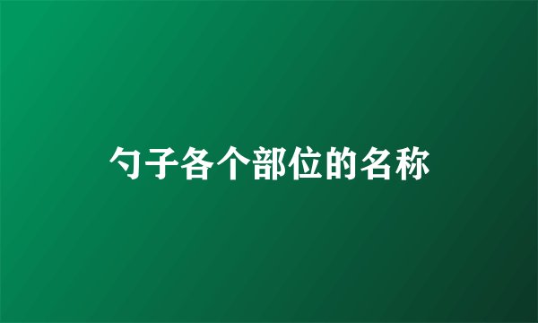 勺子各个部位的名称