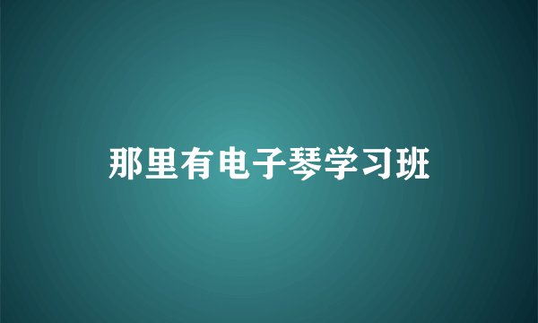 那里有电子琴学习班