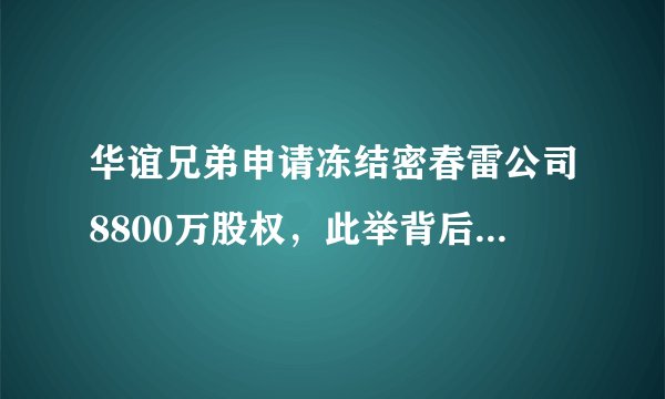 华谊兄弟申请冻结密春雷公司8800万股权，此举背后的原因是什么？
