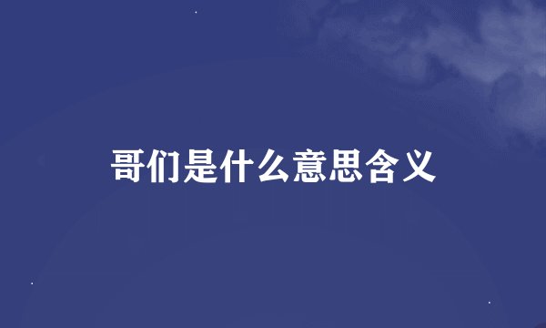 哥们是什么意思含义