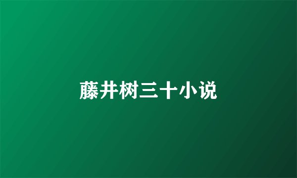 藤井树三十小说