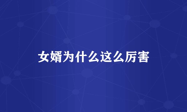 女婿为什么这么厉害