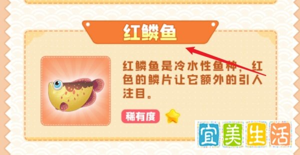 摩尔庄园下雨天可以钓哪些鱼?(全攻略)