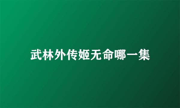 武林外传姬无命哪一集
