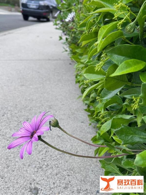 四月杂谈