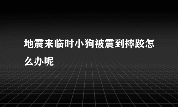 地震来临时小狗被震到摔跤怎么办呢