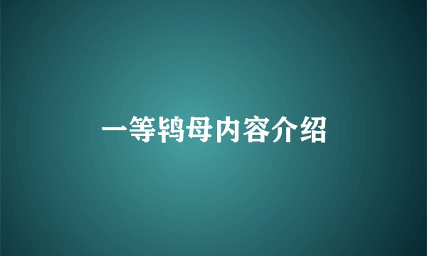 一等鸨母内容介绍