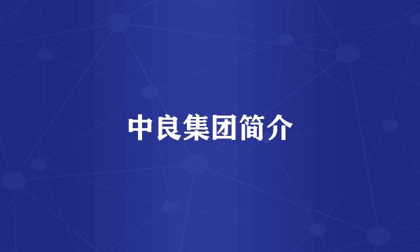 中良集团简介