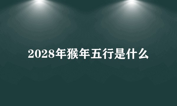2028年猴年五行是什么