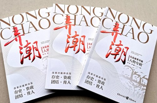 2023十部顶级官场耐看小说