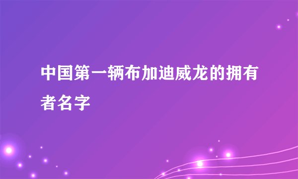 中国第一辆布加迪威龙的拥有者名字