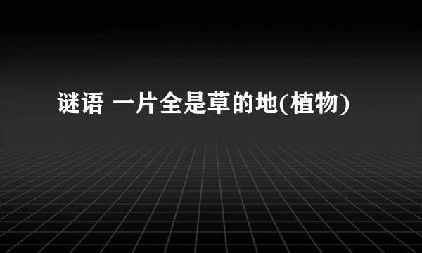 谜语 一片全是草的地(植物)