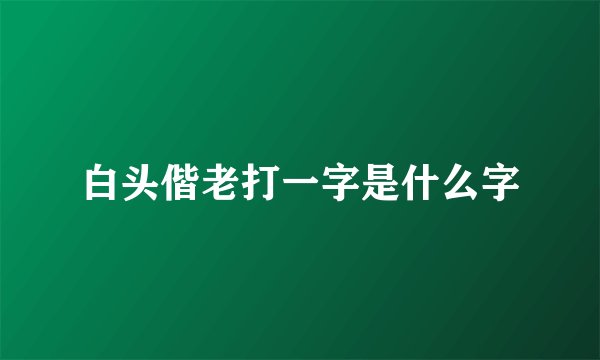 白头偕老打一字是什么字