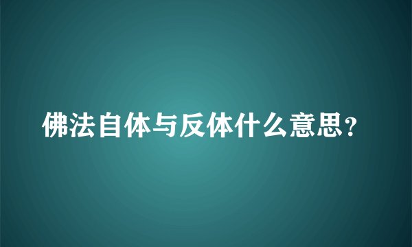 佛法自体与反体什么意思？