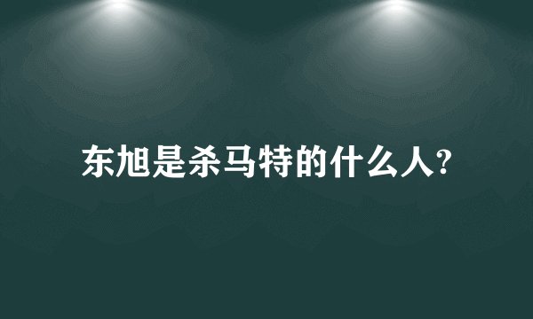东旭是杀马特的什么人?