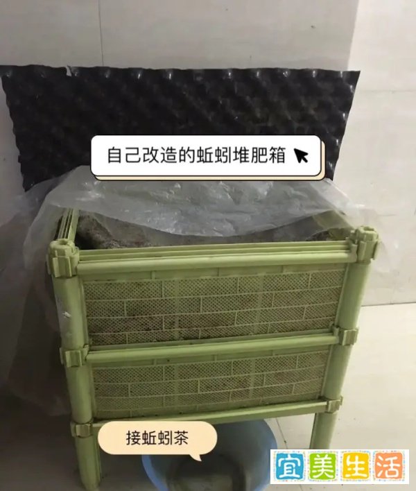 蚯蚓堆肥之为什么蚯蚓会逃跑？蚯蚓集体大逃亡生态阳台记录