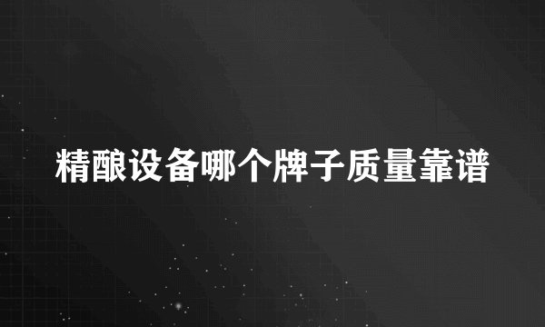 精酿设备哪个牌子质量靠谱