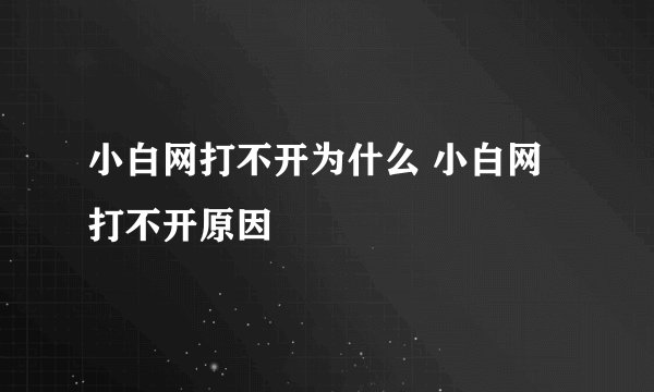 小白网打不开为什么 小白网打不开原因