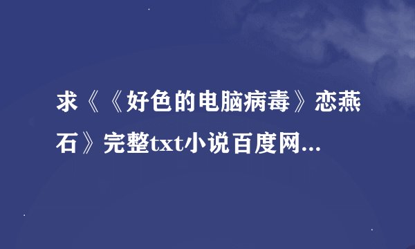 求《《好色的电脑病毒》恋燕石》完整txt小说百度网盘下载链接