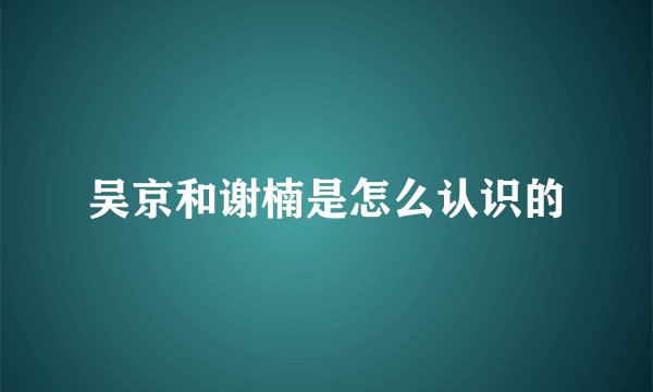 吴京和谢楠是怎么认识的