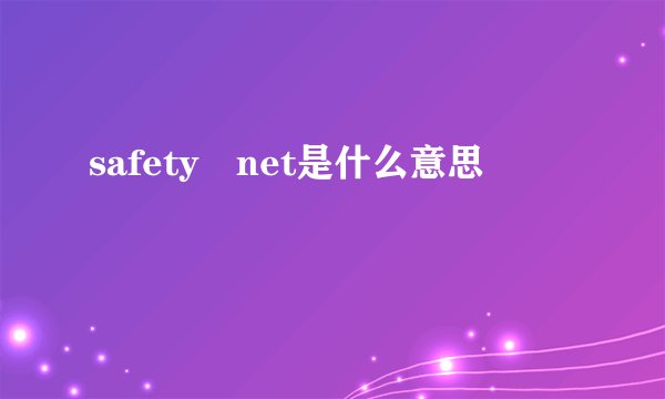 safety net是什么意思