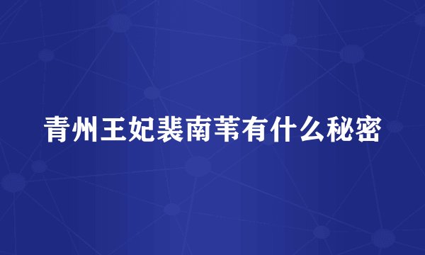 青州王妃裴南苇有什么秘密