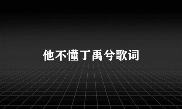 他不懂丁禹兮歌词