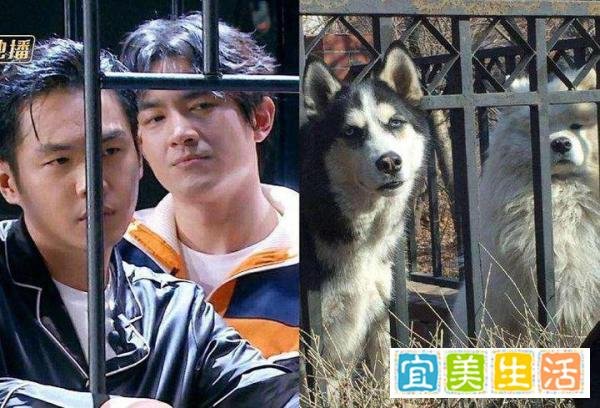 佳偶天橙be了？新谋女郎作死？林更新颜值拉胯？任素汐碰瓷刘雪华？