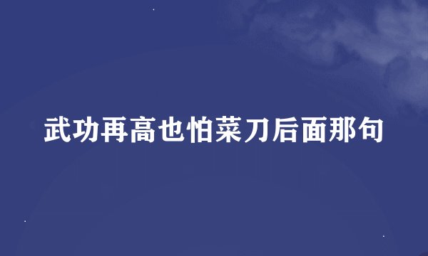 武功再高也怕菜刀后面那句