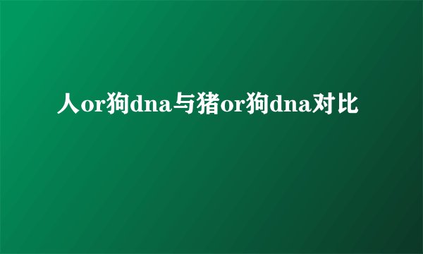 人or狗dna与猪or狗dna对比