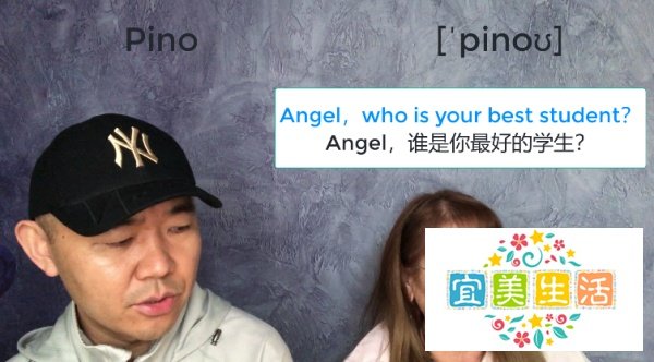 Pino是什么意思