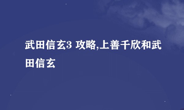 武田信玄3 攻略,上善千欣和武田信玄