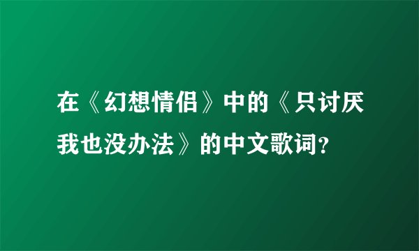 在《幻想情侣》中的《只讨厌我也没办法》的中文歌词？