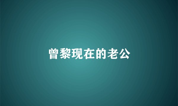 曾黎现在的老公