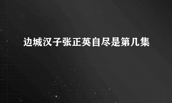 边城汉子张正英自尽是第几集
