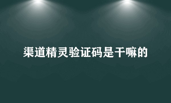 渠道精灵验证码是干嘛的