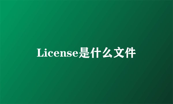 License是什么文件