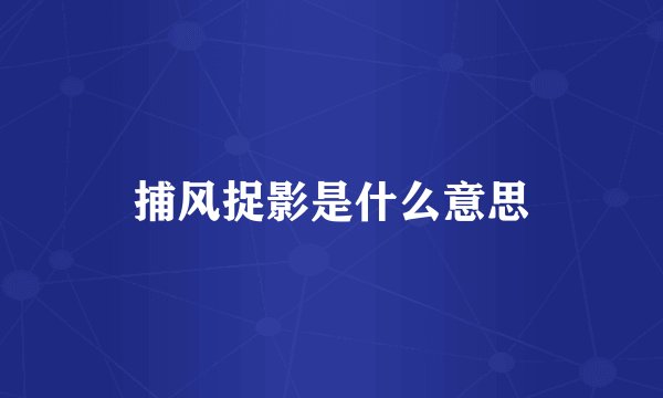捕风捉影是什么意思